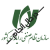 nezam-senfi.png